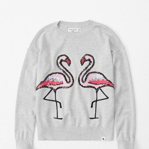 abercrombie kids Other - Abercrombie kids girl graphic sweater size 11/12